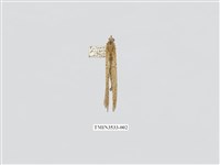 藏品(蟻蛉9)的圖片